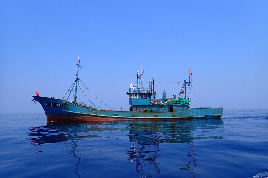 A pair trawler of Chinese origin on its way to North Korean waters