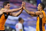 Two Hawthorn AFL players clasp hands as they celebrate a goal against North Melbourne.