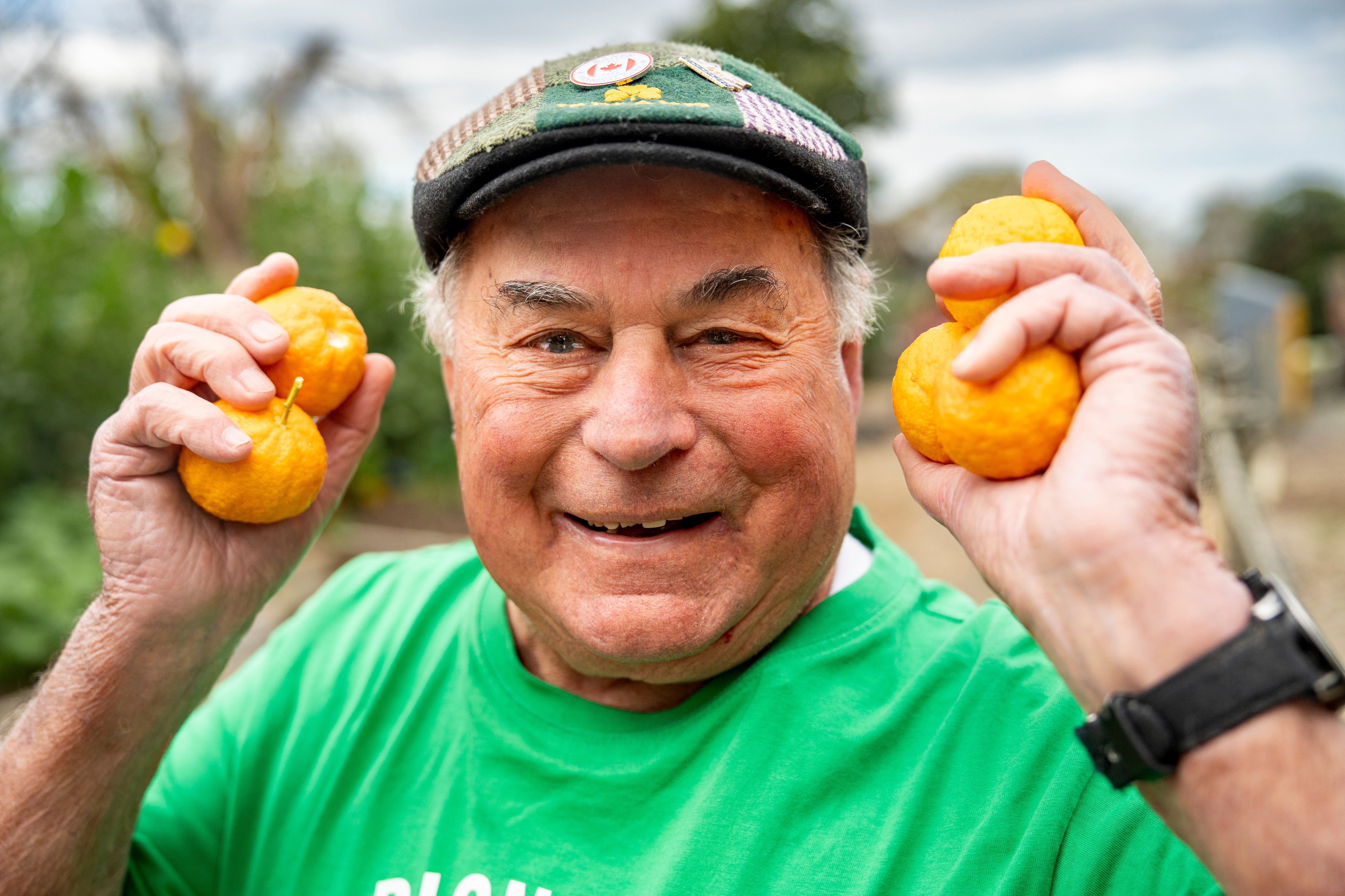 Just like an Italian piazza, this community garden has grown a community