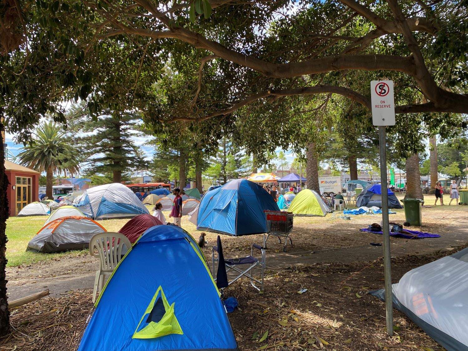 Tents pitched under trees at a park in Fremantle.