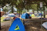 Tents pitched under trees at a park in Fremantle.