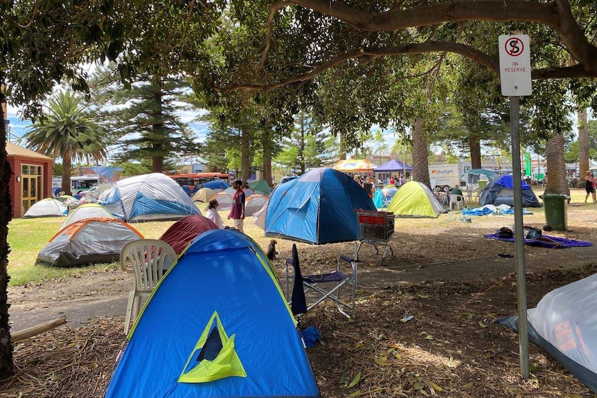 Tents pitched under trees at a park in Fremantle.