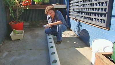 Person installing hydroponic system