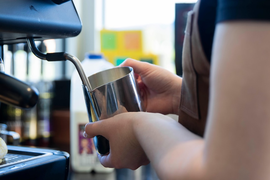 Close up of a barista's hands holding a milk jug under a coffee machine