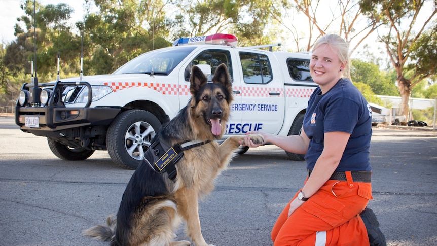 Gemma Wood shakes hands with SES search dog Jagger in front of SES vehicle