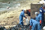 Volunteers clean up the beach