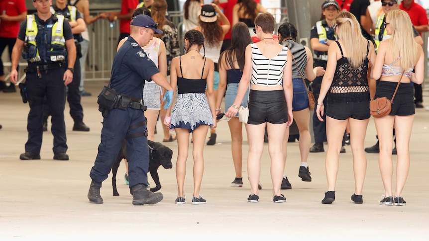 Police with sniffer dogs search patrons before entry into Stereosonic