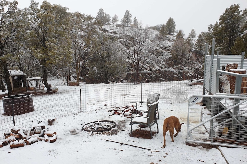 Snow covers hillsides at Willow Springs Station in the Flinders Ranges.