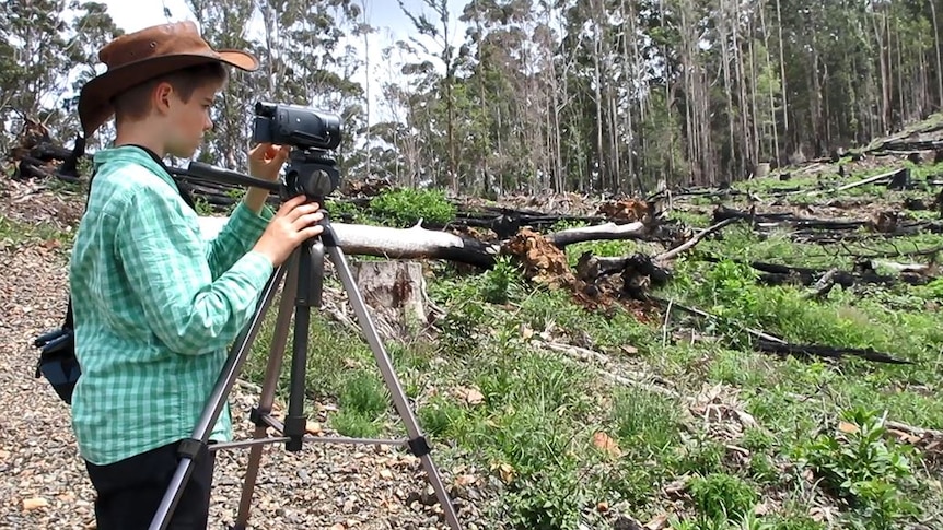 12 year old boy standing being video camera shooting toward a patch of clear-felled forest