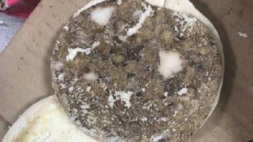 A photo showing mouldy bread allegedly found by parents at the Chengdu No 7 High School, in China. It is brown and on a box.