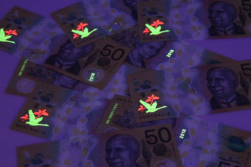 An image of a bird on the new $50 note illuminates under a UV light.