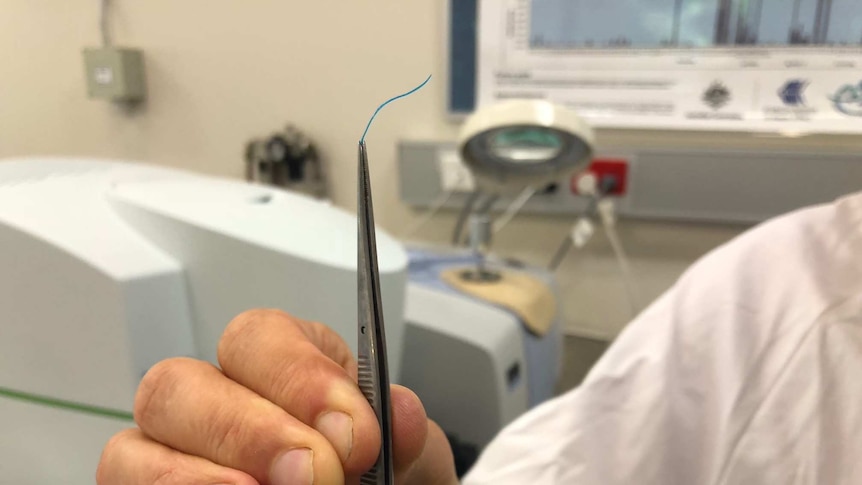 A piece of microplastic being held up by a scientist in a white coat holding a tweezer.