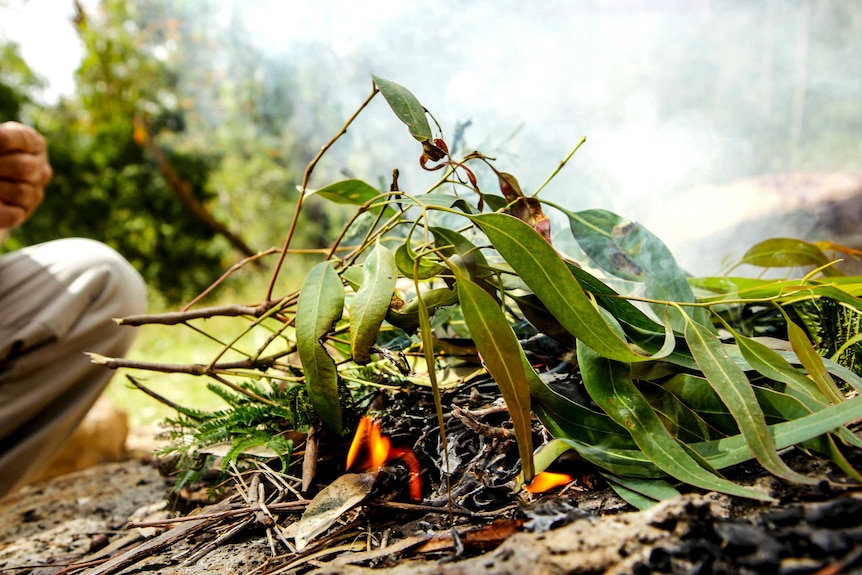 Small fire in parklands