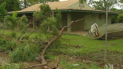 Cyclone Ingrid brought down trees at Nguiu on Bathurst Island.