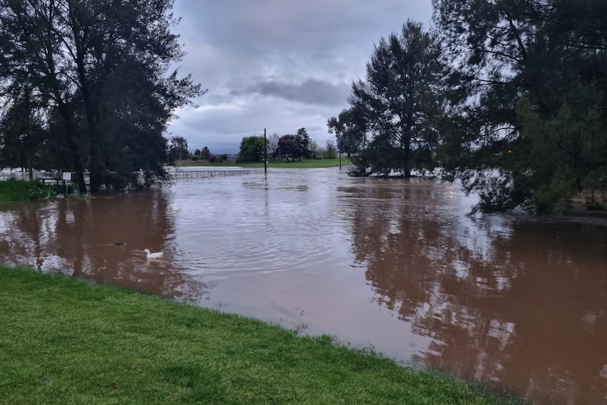 Floodwater over a low bridge.