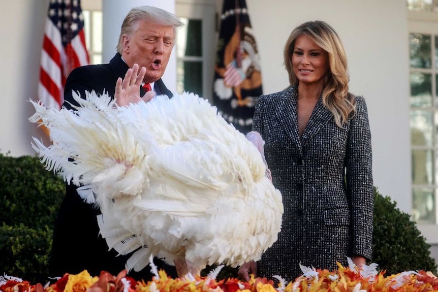 Donald Trump and Melania Trump stand behind a turkey. Donald Trump is holding out his hand and speaking.