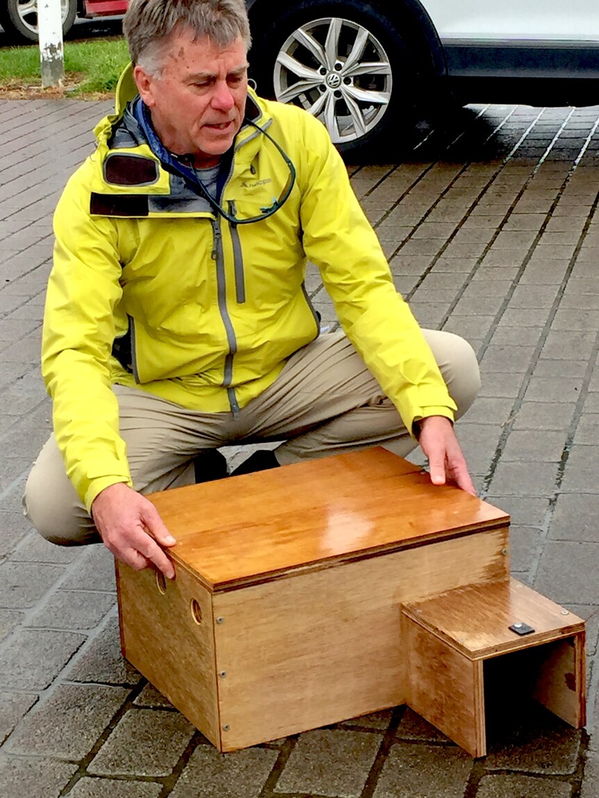 Dr Eric Whoeler inspecting the penguin nest boxes.