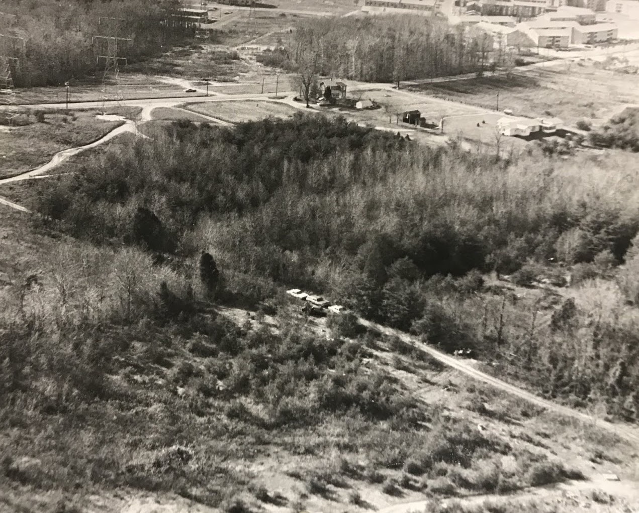 A house sits at the border of dense woodlands, with a single road through it on which three cars are tailgating each other.