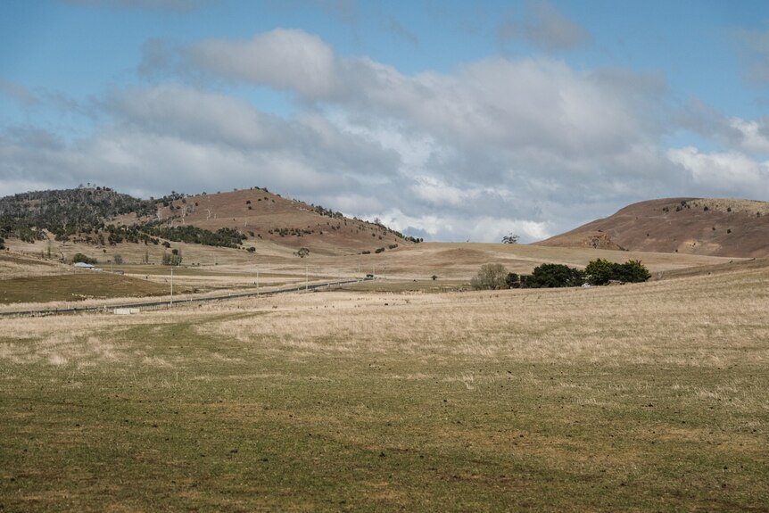 A dried-out paddock on hilly farmland.