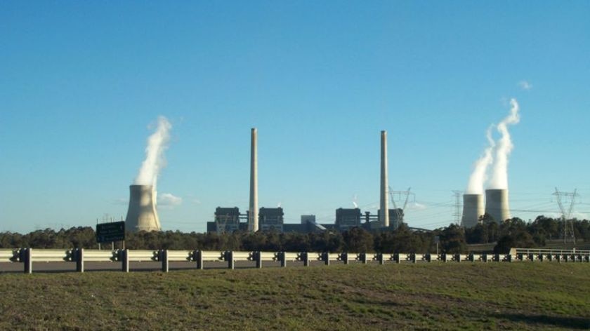 The Bayswater plant (pictured) and Eraring plant in NSWs' Hunter Valley are on a list of the top 100 greenhouse gas emitters in the world.