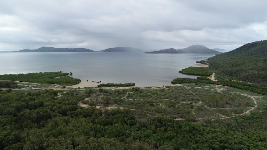 Drone aerial vision of a group of islands with lush greeny below