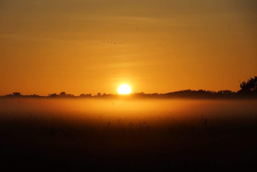 The sun rising over Yellow Water in Kakadu National Park.