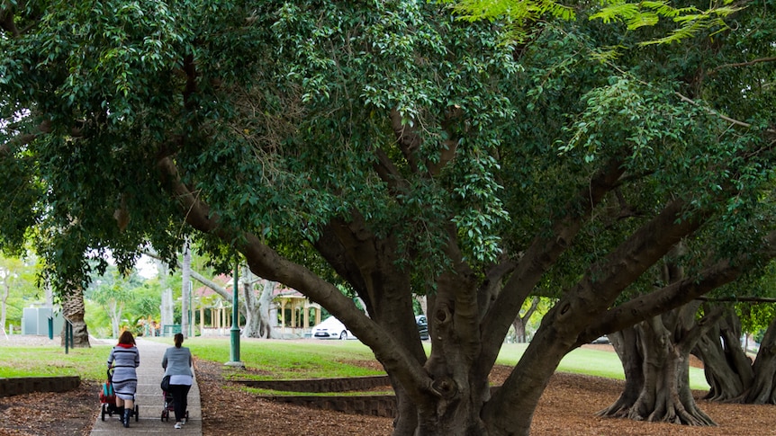 Ladies pushing prams go on a morning walk in New Farm park by the Brisbane River.