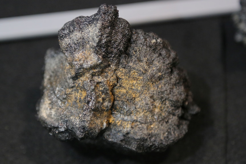 A polymetallic, or manganese, nodule sits on a dark bench