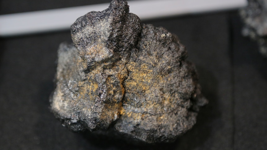 A polymetallic, or manganese, nodule sits on a dark bench