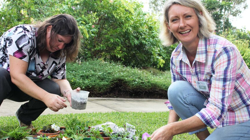Volunteer Allira and horticultural therapist Cath Manuel put the finishing touches on the seedlings.