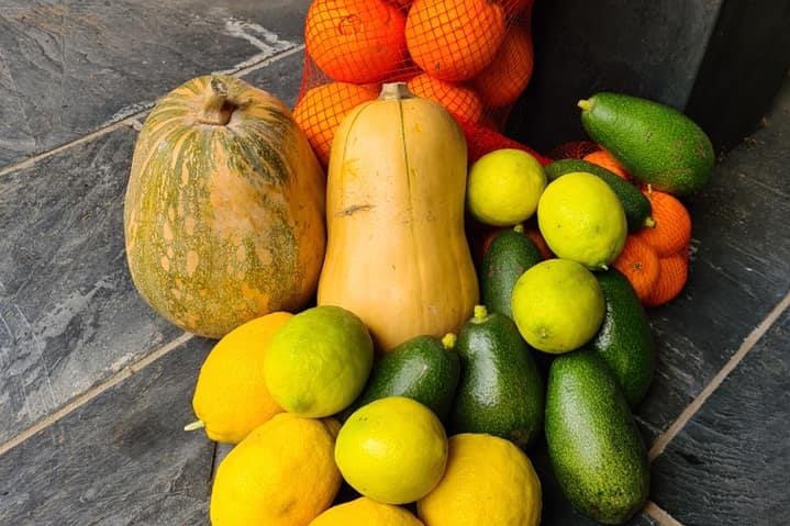 A picture of oragnes, pumpkins, lemons and zucchinis on the ground.