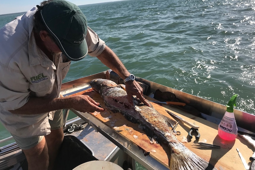 A man on a boat chops up a fish