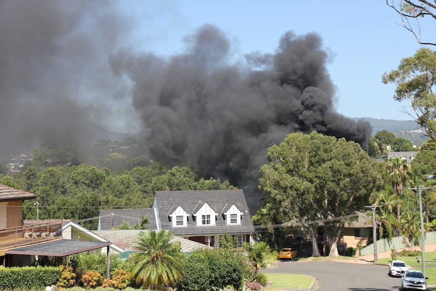 Fire towering above trees