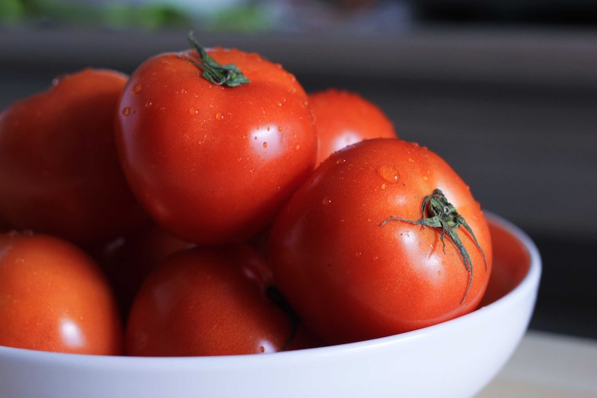 Uma tigela de tomates vermelhos maduros