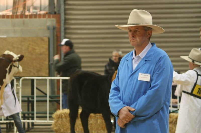 David Bolton stands arms crossed in a cattle judging ring