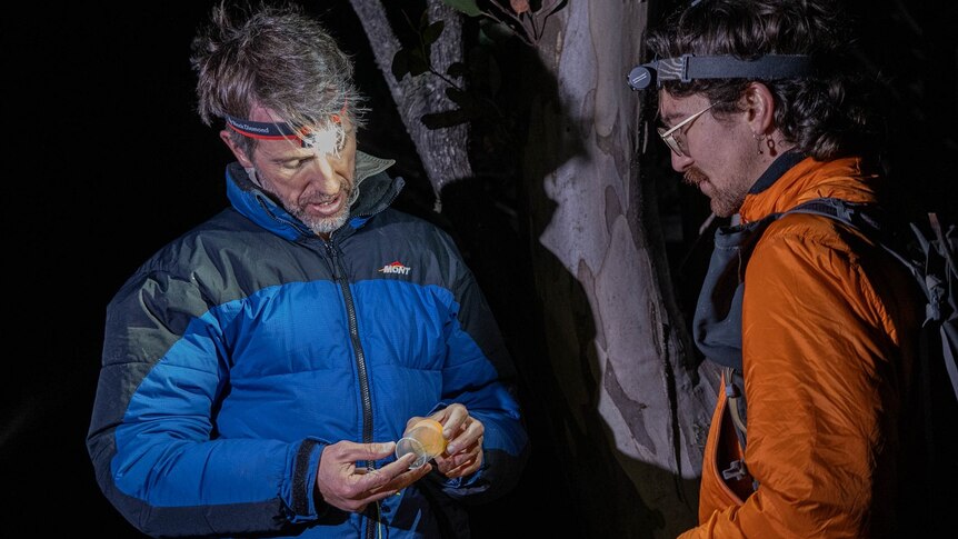 Two men dressed in winter clothing and wearing spotlights on their heads inspect a beetle inside a vial.