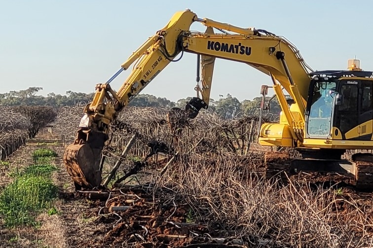 A yellow excavator pushes out grape vines