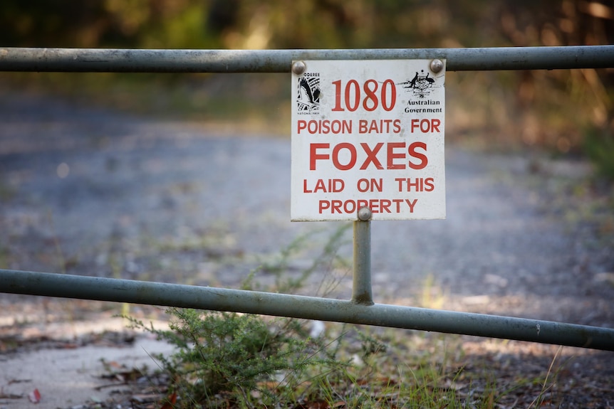 A sign saying 1080 poison bait is used for foxes attached to a steel gate