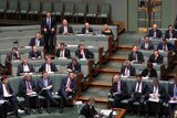 Coalition MPs fill the green backbenches in the House of Representatives. Tony Abbott is standing up.