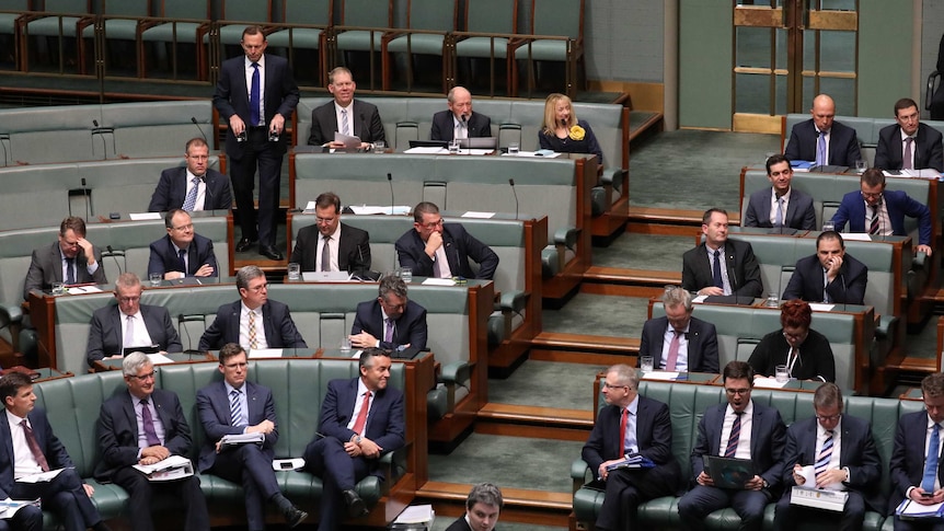 Coalition MPs fill the green backbenches in the House of Representatives. Tony Abbott is standing up.
