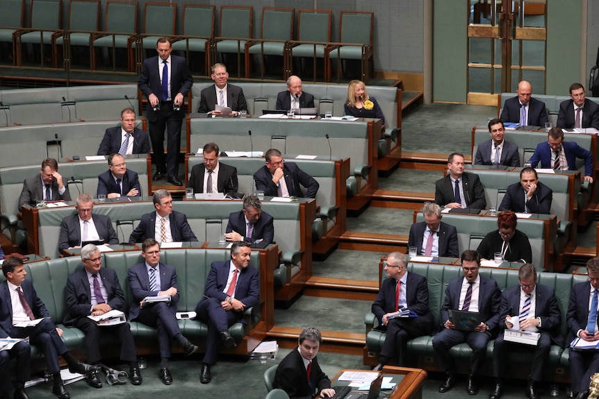 Coalition MPs fill the green backbenches in the House of Representatives. Tony Abbott is standing up.