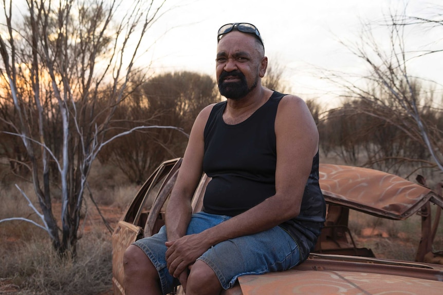 Artist Robert Fielding sits on a painted car in the bush