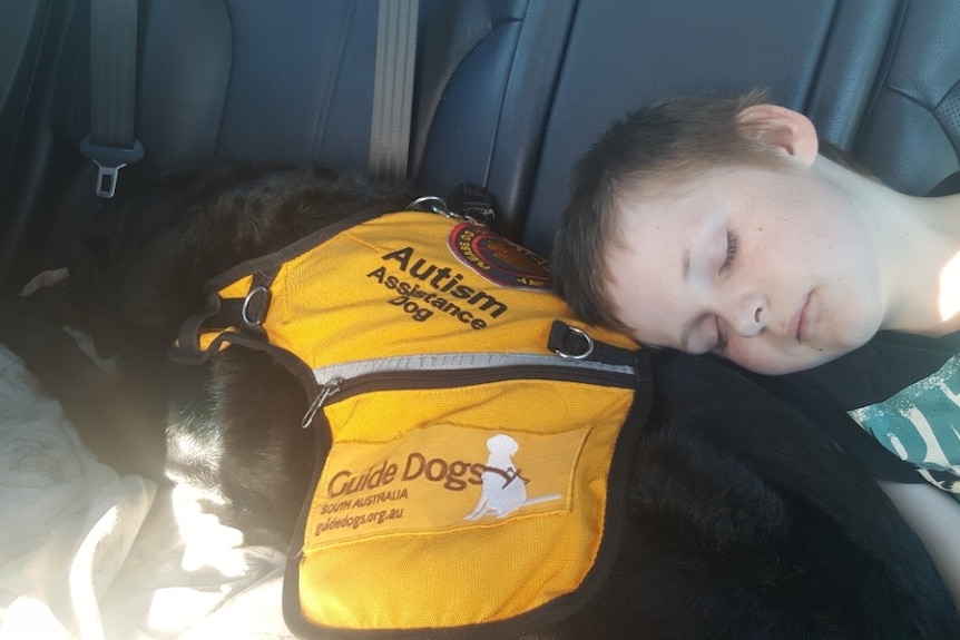 A young boy rests his head on a black labrador lying down in the backseat of a car.