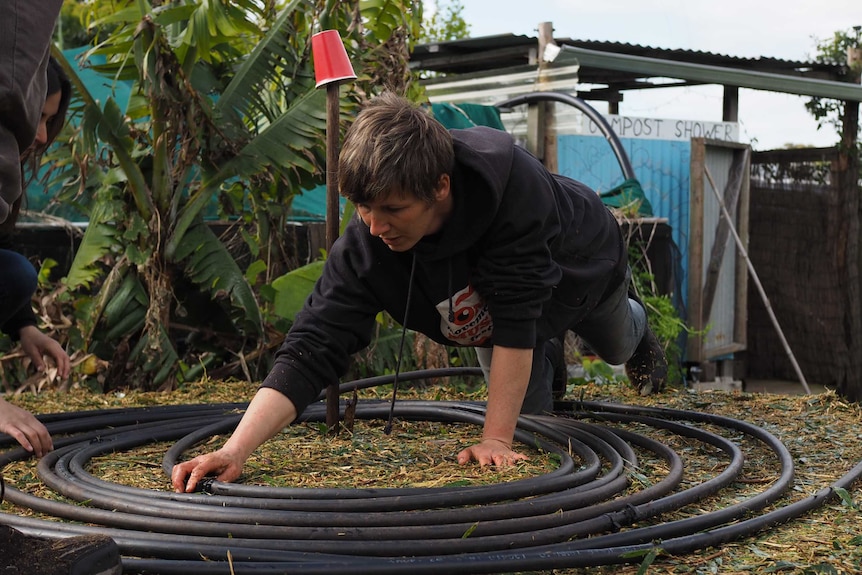 The black poly pipe being coiled through the compost during the build