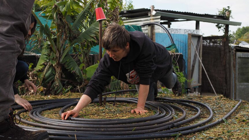 The black poly pipe being coiled through the compost during the build