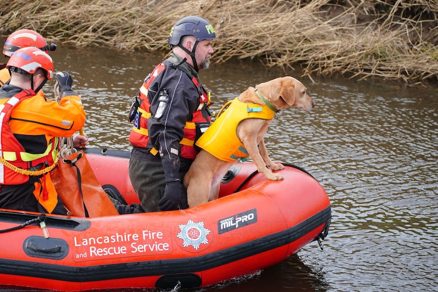 Three people in search and rescue uniforms and a dog wearing a life jacket in a red inflatable boat