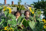 Two women in a Melbourne community garden with sunflowers and a spade, having a garden without your own space.