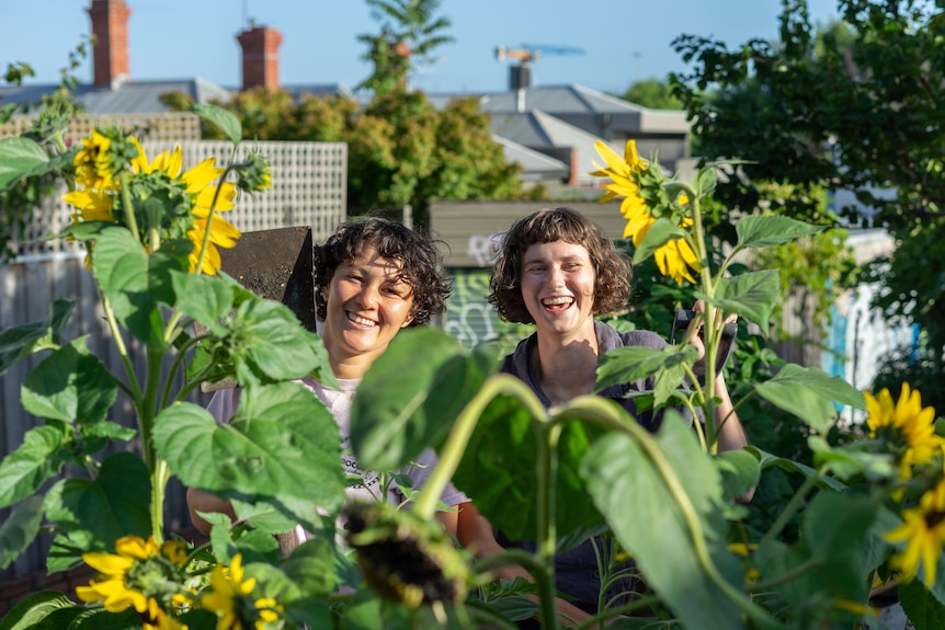 Two women in a Melbourne community garden with sunflowers and a spade, having a garden without your own space.