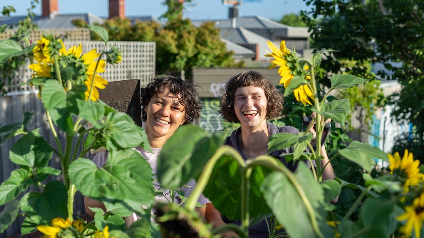 Two women in a Melbourne community garden with sunflowers and a spade, having a garden without your own space.