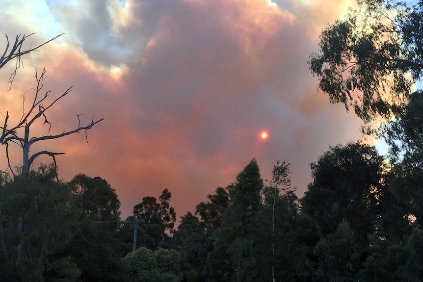 Smoke from bushfires cover the sun near Maryknoll, Victoria.